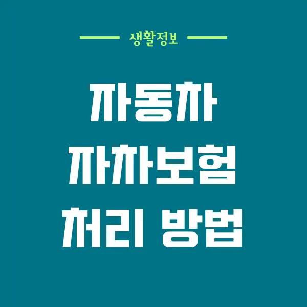 자차보험 처리 방법, 수리 범위, 수리 할증 총정리