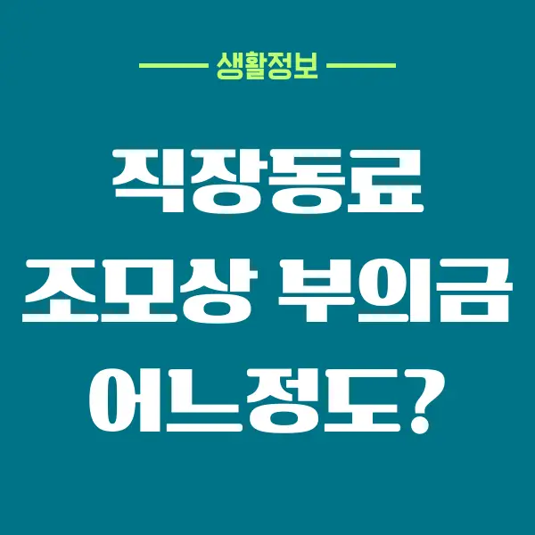 장동료 조모상 부의금 얼마나 내야할까 부의금 계좌이체하기