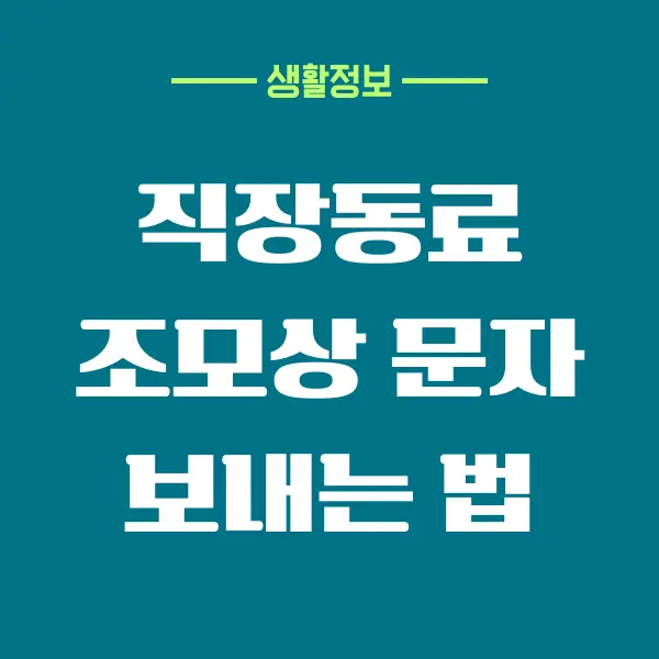 직장동료 조모상 문자 예시, 조의금 액수, 조의금 전달 방법