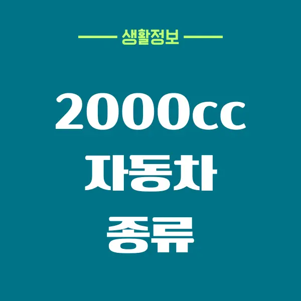 2000cc 이하 자동차 종류는 어떤 것들이 있을까요