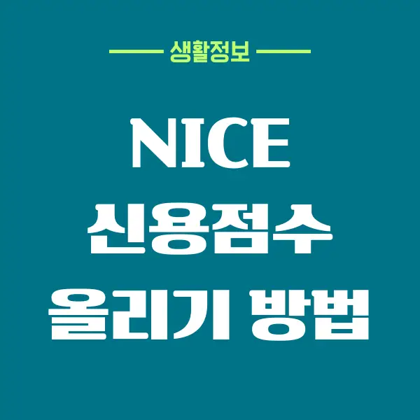 NICE 신용점수 올리기 방법이 궁금하세요