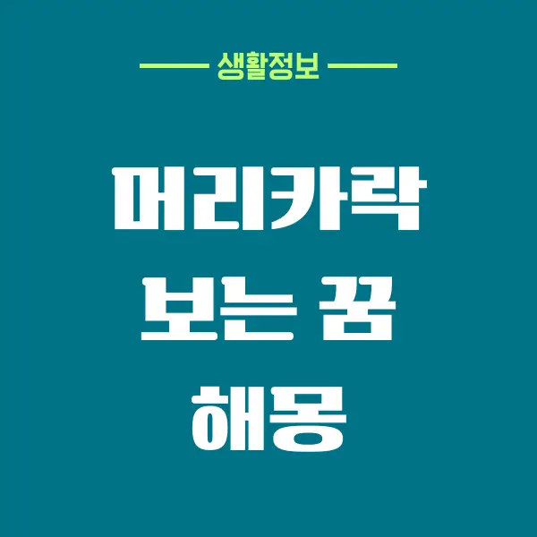 머리카락 보는 꿈 해몽이 굼금하세요