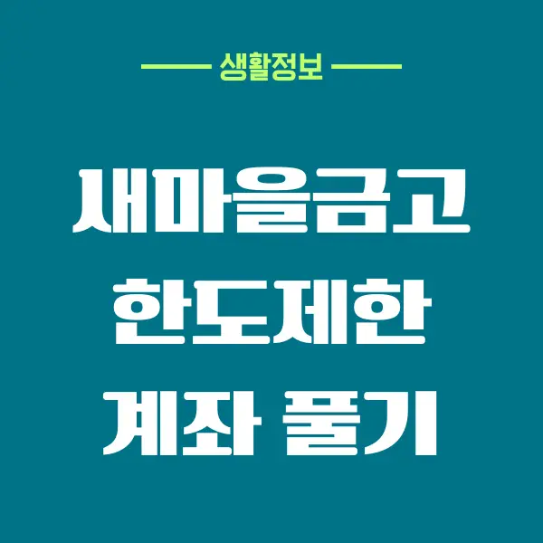 새마을금고 한도계좌 해제 방법, 즉시 한도 높이기