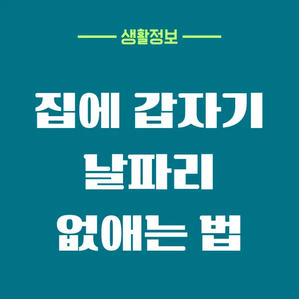 집에 갑자기 날파리 이유와 없애는 방법