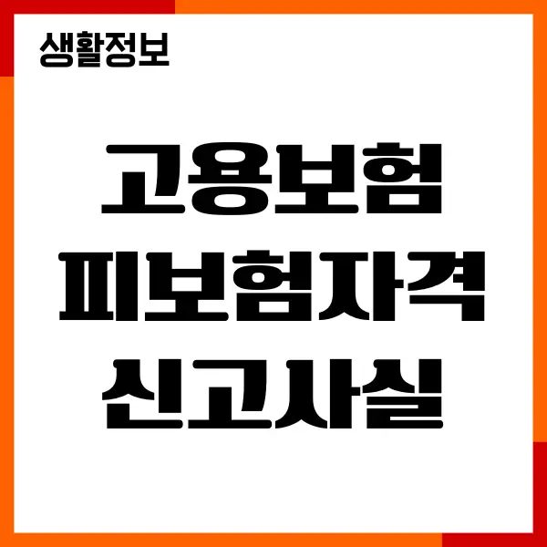 고용보험 피보험자격 신고사실 통지서란, 신고, 절차