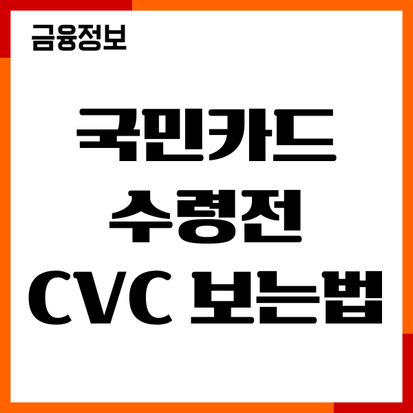 국민카드 수령전 CVC 보는법, 사용내역 조회, 분실시 대처방법