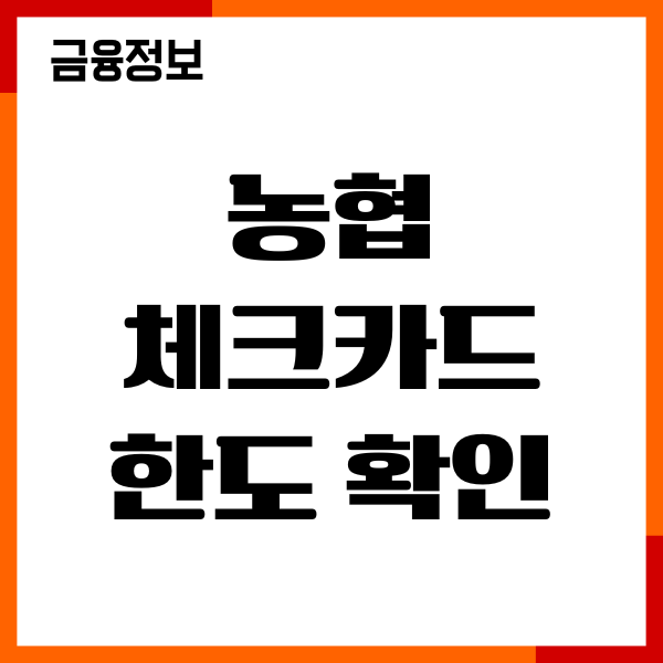 농협 체크카드 한도 확인, 한도 상향, 조건, 기간, 절차, 후기