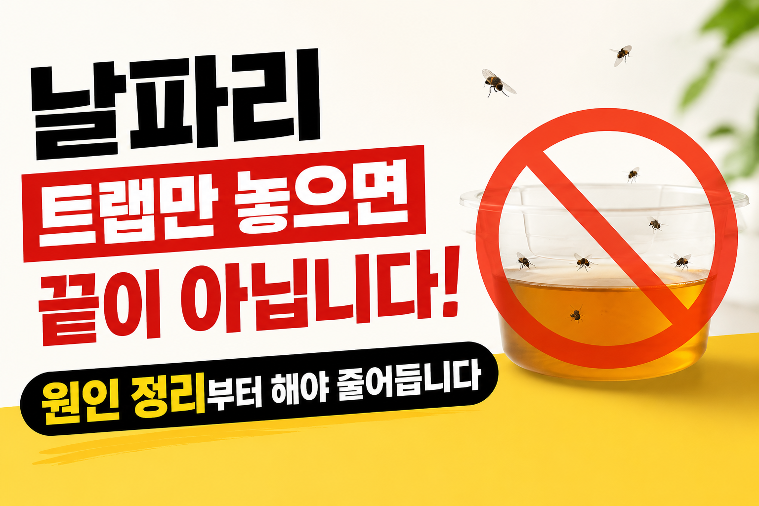 날파리 계속 생기는 이유, 트랩보다 먼저 봐야 할 3곳